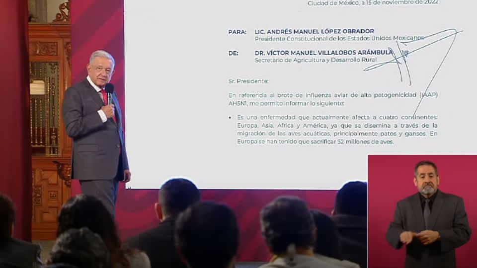El mandatario federal afirmó cómo la crianza de pollos y gallinas no está comprometida, sacrificando a los animales que llegaran a tener el virus en su sistema