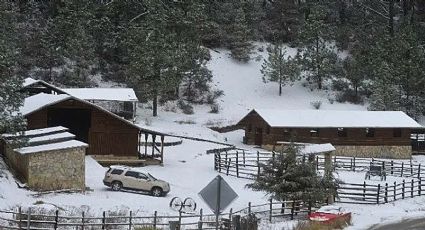 Disfruta de nevadas abundantes y los mejores paisajes invernales sin salir de Tamaulipas