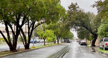 No guarde las cobijas... ¿cuántos frentes fríos más llegarán a Tamaulipas este año?