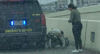 Oficial salva a gatito en bulevar Bob Bullock de Laredo, Texas | FOTOS