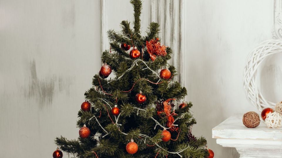 Consigue el árbol de Navidad al mejor precio; aquí te decimos dónde