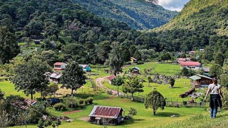 La Reserva de la Biosfera El Cielo, es un paraíso ubicado en Tamaulipas