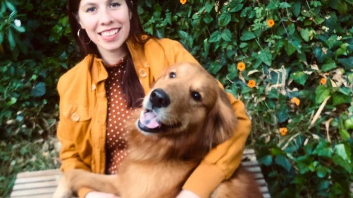 La era de llevar a tu perro al trabajo