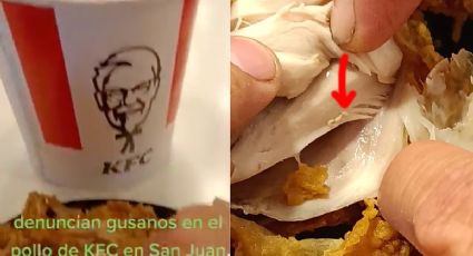Clientes de KFC encuentran gusanos vivos en su pollo frito y denuncian con video
