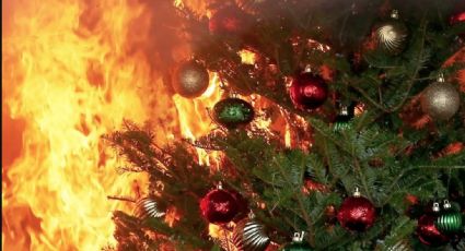 Alerta por incendios en pinos de navidad; evita accidentes con estos consejos