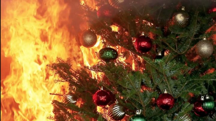 Alerta por incendios en pinos de navidad; evita accidentes con estos consejos