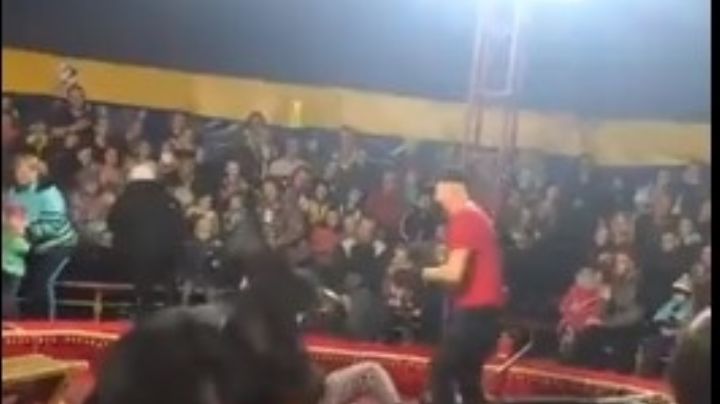 Feroz oso ataca a su entrenador en plena función de circo | VIDEO