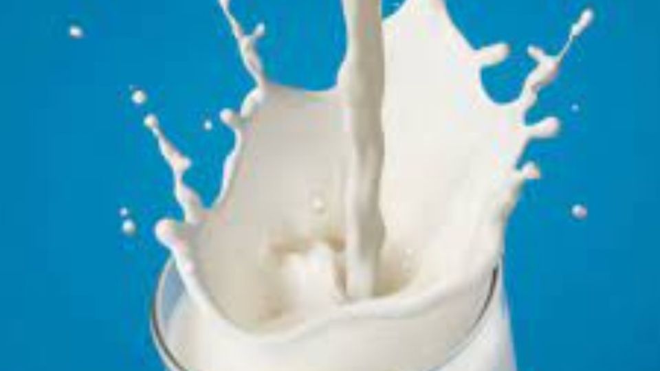 Consumir leche a edad adulta es bueno, pero tampoco se debe exagerar su consumo