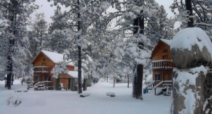 Así es el único lugar donde hay nieve todo el año en México | FOTOS