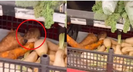 Captan a rata entre la verdura en tienda Soriana | VIDEO