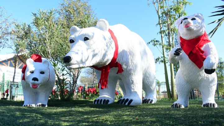 Hoy inicia la Navidad en el Zoológico de Nuevo Laredo; aquí los detalles
