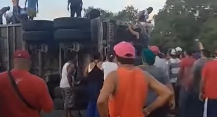 Vuelca tráiler con ganado en Chiapas; llegan pobladores a matar y destazar reses | VIDEO