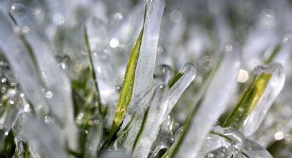 Jueves y viernes: temperaturas bajo cero en Laredo, TX