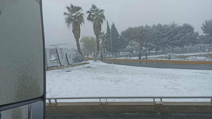 Cae nieve en Ramos Arizpe y Saltillo; carreteras se pintan de blanco con Frente Frío 19