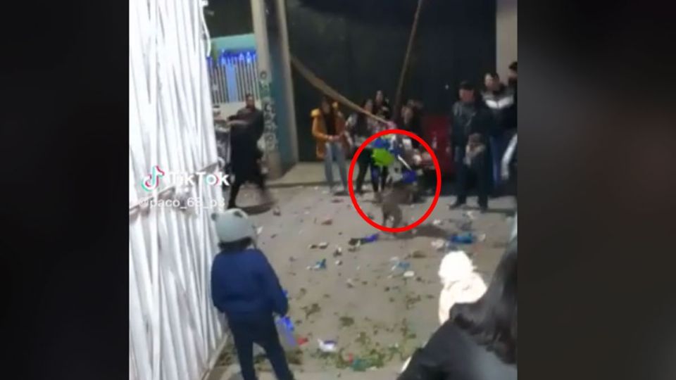 Sin dudarlo, el can se aventó a la celebración, llevándose el premio mayor: una piñata llena de dulces