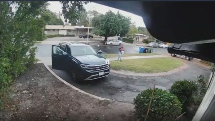 Pánico en la colonia: coyote ataca a niña de dos años en Los Ángeles | VIDEO