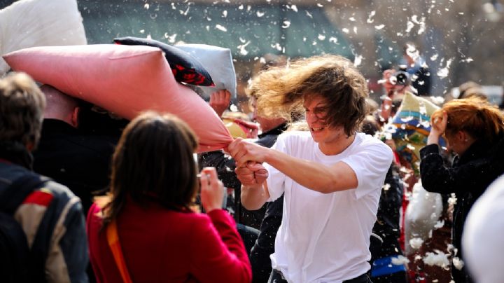 Pelean con almohadas y además ¡les pagan por ello! ¡conócelos!