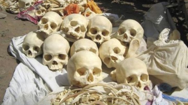 Reportan red de tráfico de cadáveres, las bandas operan en todo México. VIDEO
