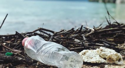 Contaminación plástica y química superó el límite seguro para el planeta: especialistas