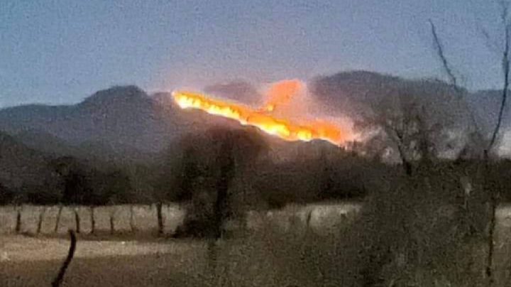 Incendio forestales en la Sierra de Sonora acaban con mil 300 hectáreas