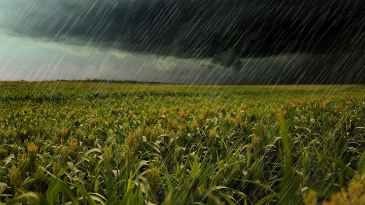 Buscan evitar sequia en Tamaulipas con el programa de estimulación de lluvias 2022