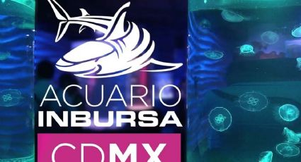 Mujer que murió en el Acuario Inbursa era buzo certificado