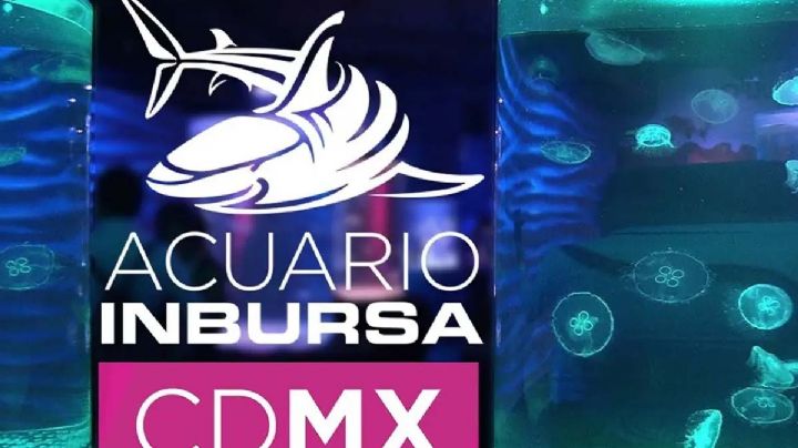 Mujer que murió en el Acuario Inbursa era buzo certificado