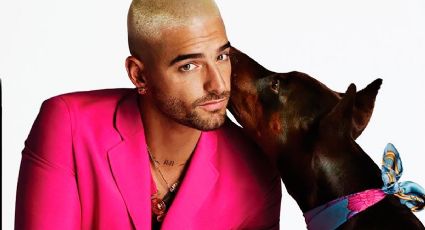 VIDEO: ¡En la cara no! Perro Doberman ataca a maluma en el rostro