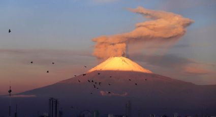 CENAPRED: Volcán Popocatépetl registró 61 exhalaciones