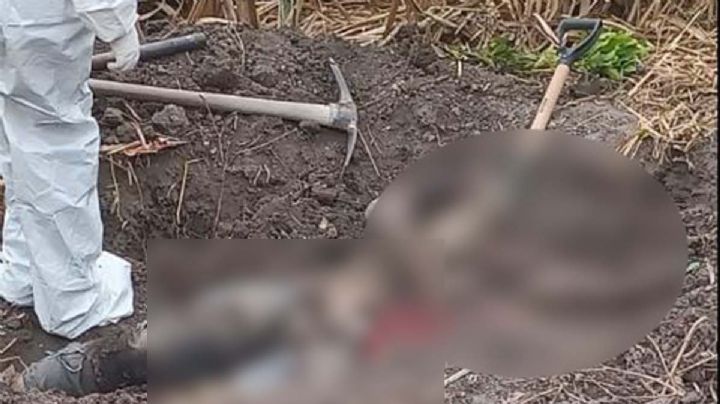 Localizan zona de exterminio del CDG en el Mante