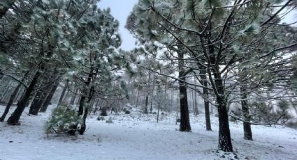 ¡Hermoso! Así se vio la nieve en El ejido de “La Joya”  del estado de Tamaulipas FOTOS