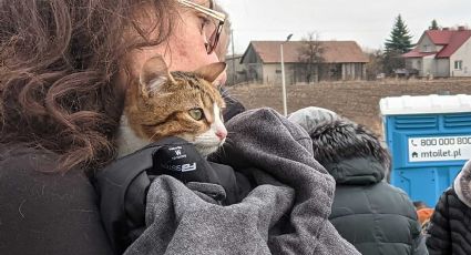 Piden mexicanos en Ucrania salir de la zona de guerra sin abandonar a sus mascotas