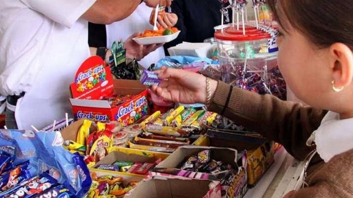 Dan luz verde a cooperativas escolares