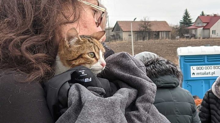 Piden mexicanos en Ucrania salir de la zona de guerra sin abandonar a sus mascotas