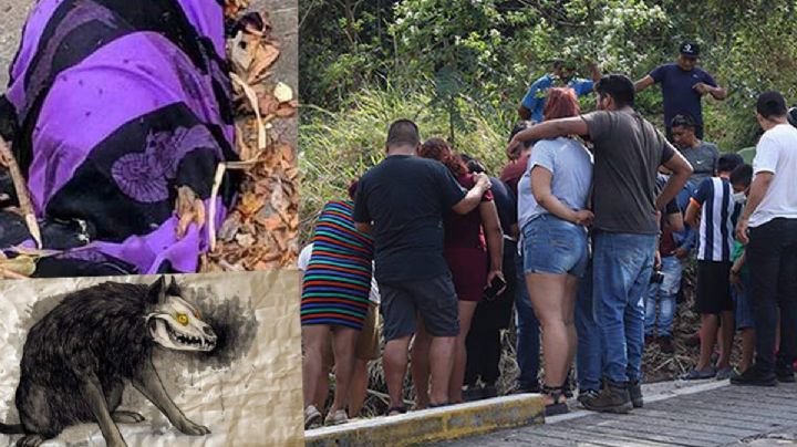 ¿Un nahual? Encuentran extraño cadáver animal en Veracruz; pobladores lo visitan FOTOS