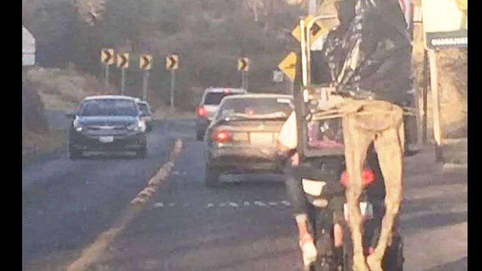 La foto de la momia que viaja en una motocicleta de igual manera se volvió viral en redes.