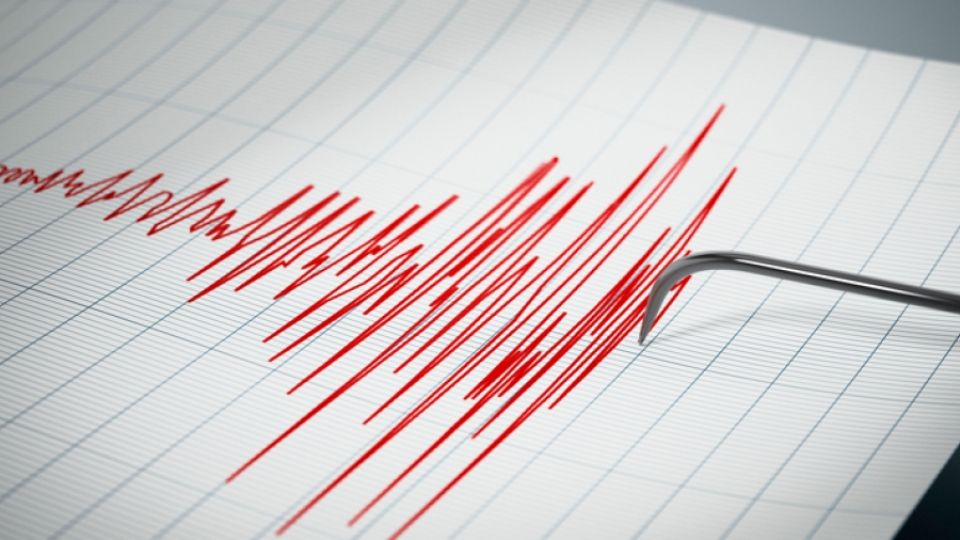 El movimiento telúrico preocupó a los japoneses, debido a la alerta de tsunami y el estado de la central nuclear de Fukushima Daiichi