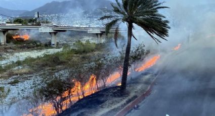 Monterrey: Se registra gran incendio en Río Santa Catarina (VIDEO)
