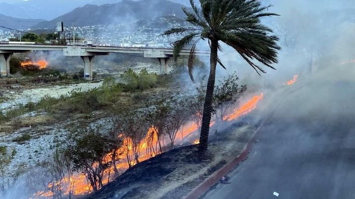 Monterrey: Se registra gran incendio en Río Santa Catarina (VIDEO)