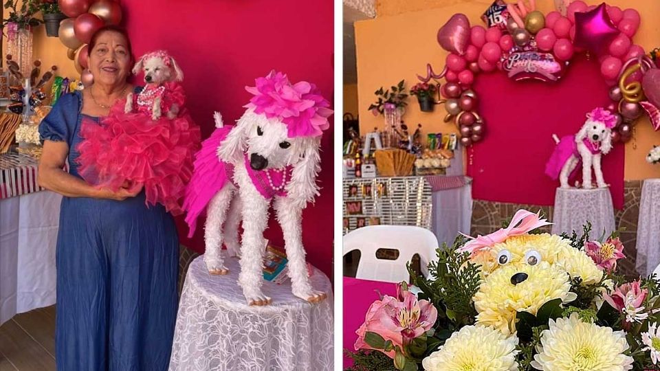 Abuelita celebra a su mascota