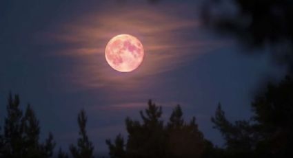 ¡Mira hacia arriba! La luna rosa llega en abril, este es el calendario astronómico del próximo mes