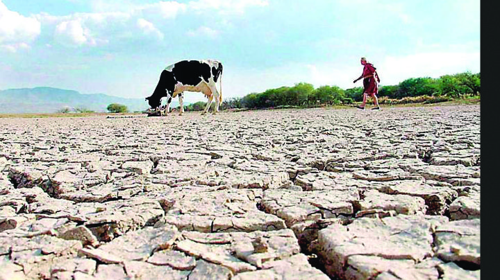 Golpea sequía 80% de tierras tamaulipecas