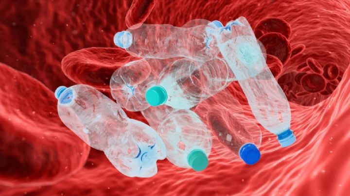 ALARMANTE: ¡Podrías tener microplásiticos en tu sangre!
