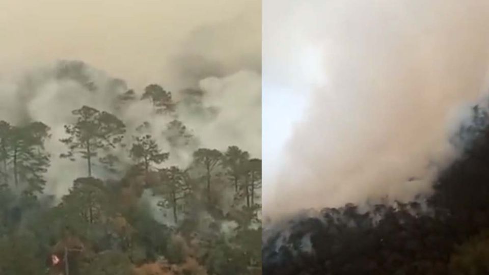 Con el fin de salvar la Reserva de la Biósfera “El Cielo” alrededor de 220 personas se encuentran trabajando para controlar el fuego