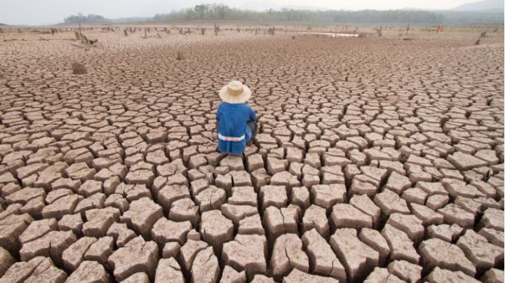 Día Mundial del Clima: Cambio climático es una amenaza para los tamaulipecos