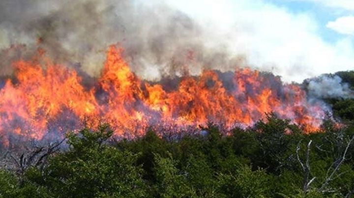 ¡El fuego continúa! ya son 11 días de incendio en la Biosfera del cielo; 440 hectáreas son afectadas