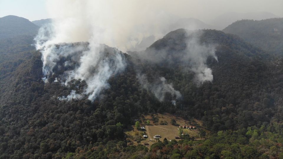 Autoridades han logrado contener el incendio en un 60%