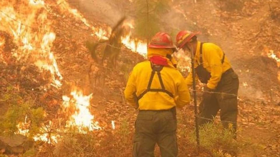 Hasta el momento el incendio de la Sierra Santiago, Nuevo León es el más grande de México