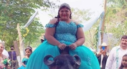 Creatividad nivel: Quinceañera llega en búfalo a su fiesta