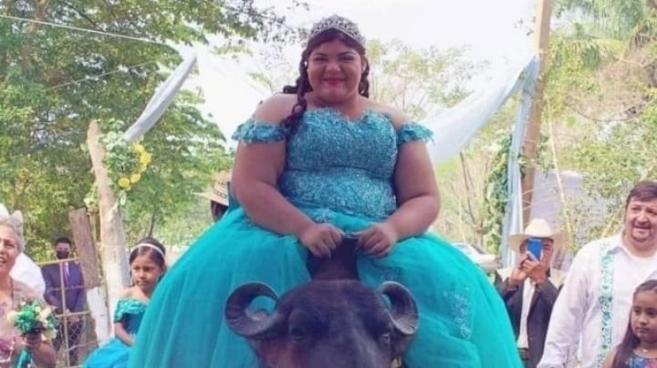 Creatividad nivel: Quinceañera llega en búfalo a su fiesta